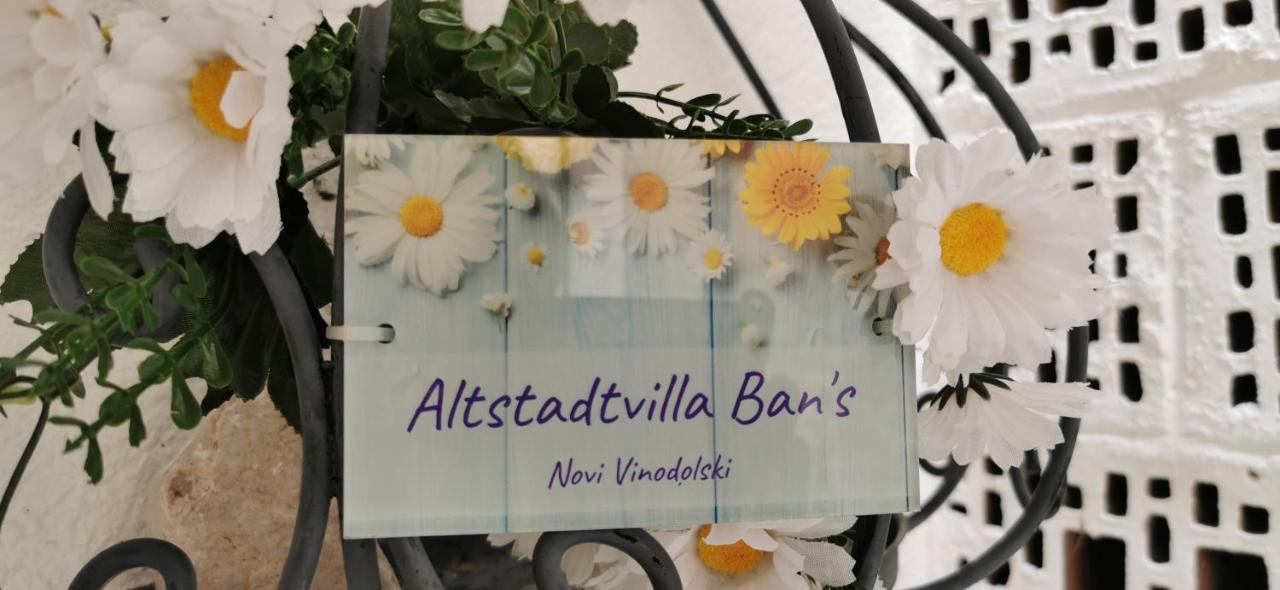 Altstadtvilla Ban'S 诺维·维诺多尔斯基 外观 照片